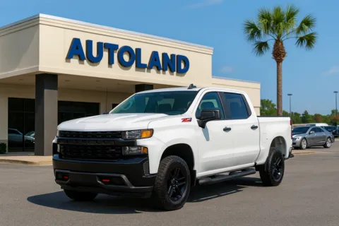 White 2019 Chevrolet Silverado 1500 Custom Trail Boss for sale in Jacksonville, FL