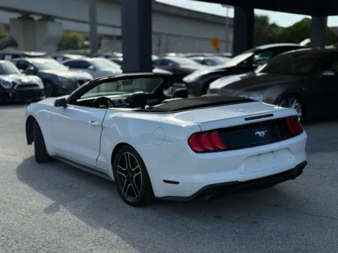 More photos of 2019 Ford Mustang EcoBoost Premium at AUTOLAND, FL