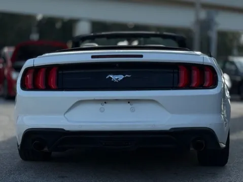 More photos of 2019 Ford Mustang EcoBoost Premium at AUTOLAND, FL
