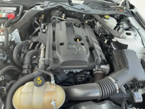 Photos of 2019 Ford Mustang EcoBoost Premium for sale in Jacksonville, FL at AUTOLAND