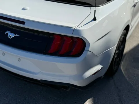 More photos of 2019 Ford Mustang EcoBoost Premium at AUTOLAND, FL