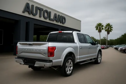 Photos of 2019 Ford F-150 Platinum for sale in Jacksonville, FL at AUTOLAND