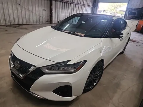 White 2019 Nissan Maxima Platinum for sale in Plano, TX