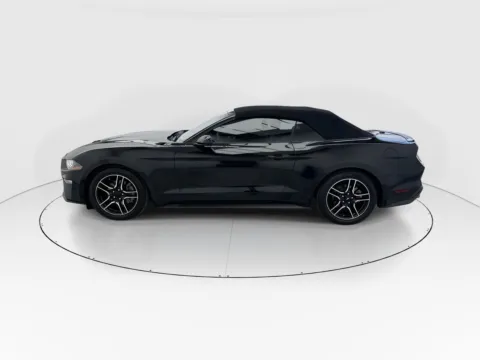 More photos of 2022 Ford Mustang EcoBoost Premium at Gulliver Auto Group, TX