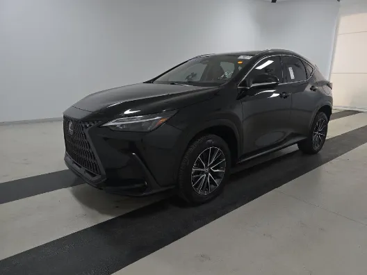 Black 2024 Lexus NX 250 Base for sale in Plano, TX