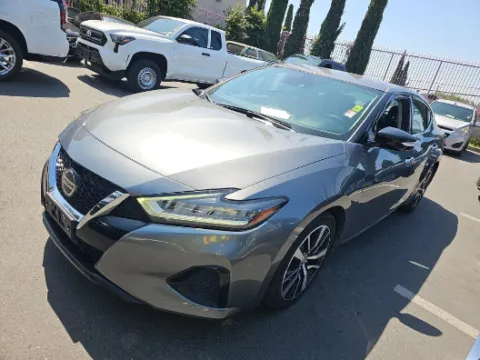 Gray 2021 Nissan Maxima SV for sale in Plano, TX