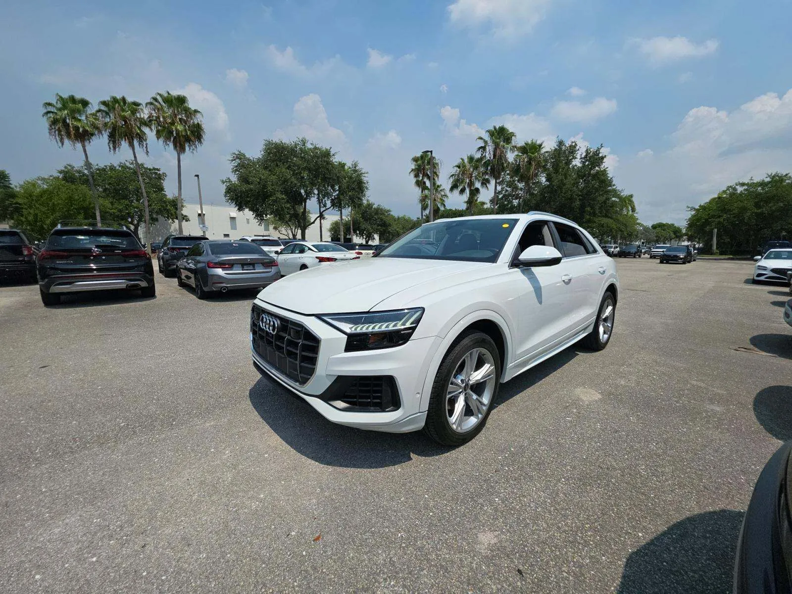 White 2023 Audi Q8 55 Premium for sale in Plano, TX