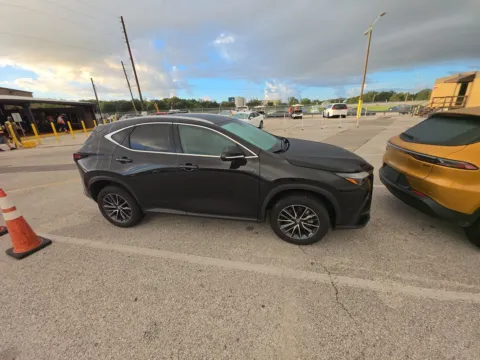 More photos of 2024 Lexus NX 250 Base at Gulliver Auto Group, TX