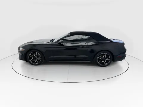 More photos of 2022 Ford Mustang EcoBoost Premium at Gulliver Auto Group, TX