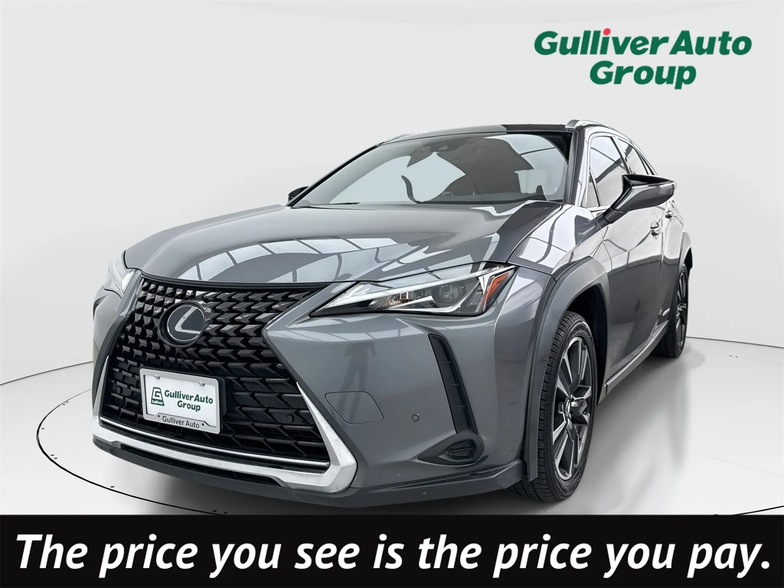 2020 Lexus UX Hybrid