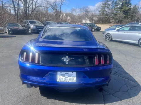 More photos of 2016 Ford Mustang V6 Coupe 2D at Exclusive Autohaus - Roselle, IL