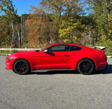 Photos of 2020 Ford Mustang GT Coupe 2D for sale in Roselle, IL at Exclusive Autohaus - Roselle