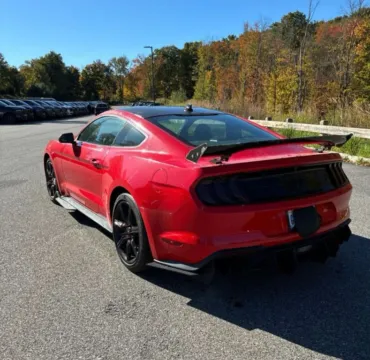 Another view of 2020 Ford Mustang GT Coupe 2D for sale in Roselle, IL at Exclusive Autohaus - Roselle