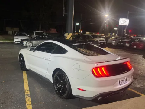 More photos of 2020 Ford Mustang EcoBoost Coupe 2D at Exclusive Autohaus - Roselle, IL