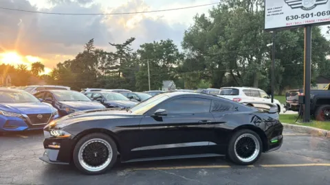 More photos of 2021 Ford Mustang EcoBoost Coupe 2D at Exclusive Autohaus - Roselle, IL