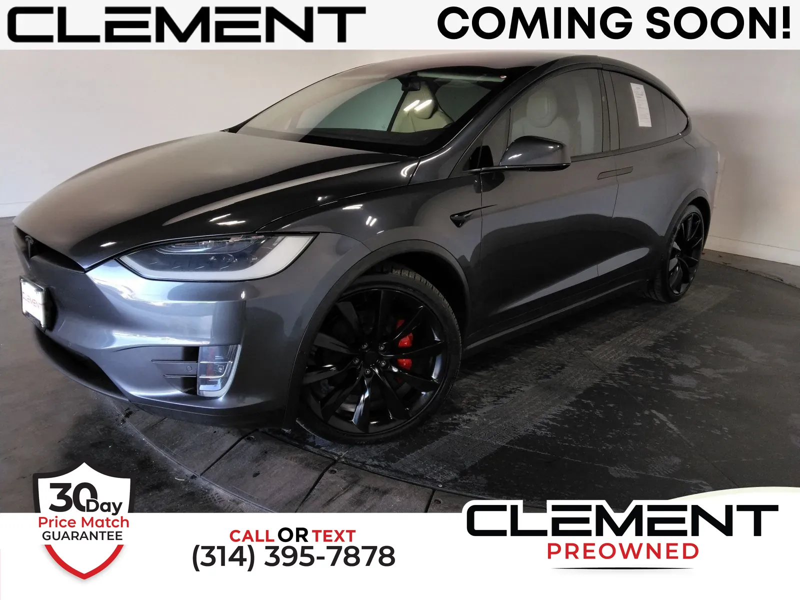 2017 Tesla Model X P100D's photo