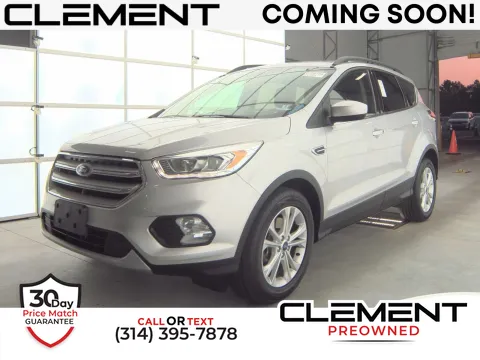 Silver 2019 Ford Escape SEL for sale in Florissant, MO