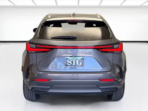 More photos of 2024 Lexus NX 250 at STG Montclair, CA