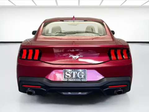 More photos of 2025 Ford Mustang EcoBoost at STG Montclair, CA