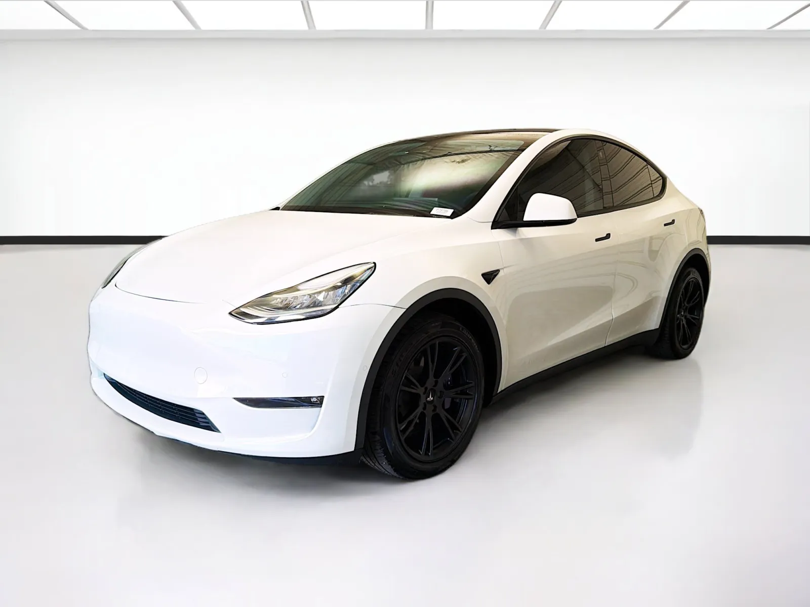 2022 Tesla Model Y's photo