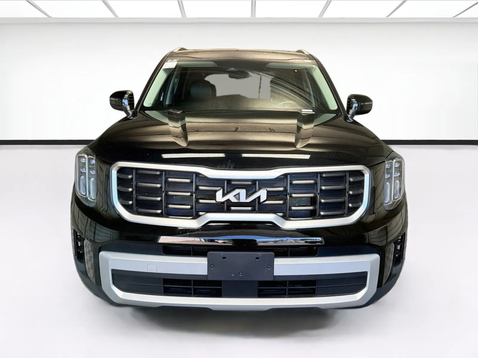 Kia Telluride photo 2
