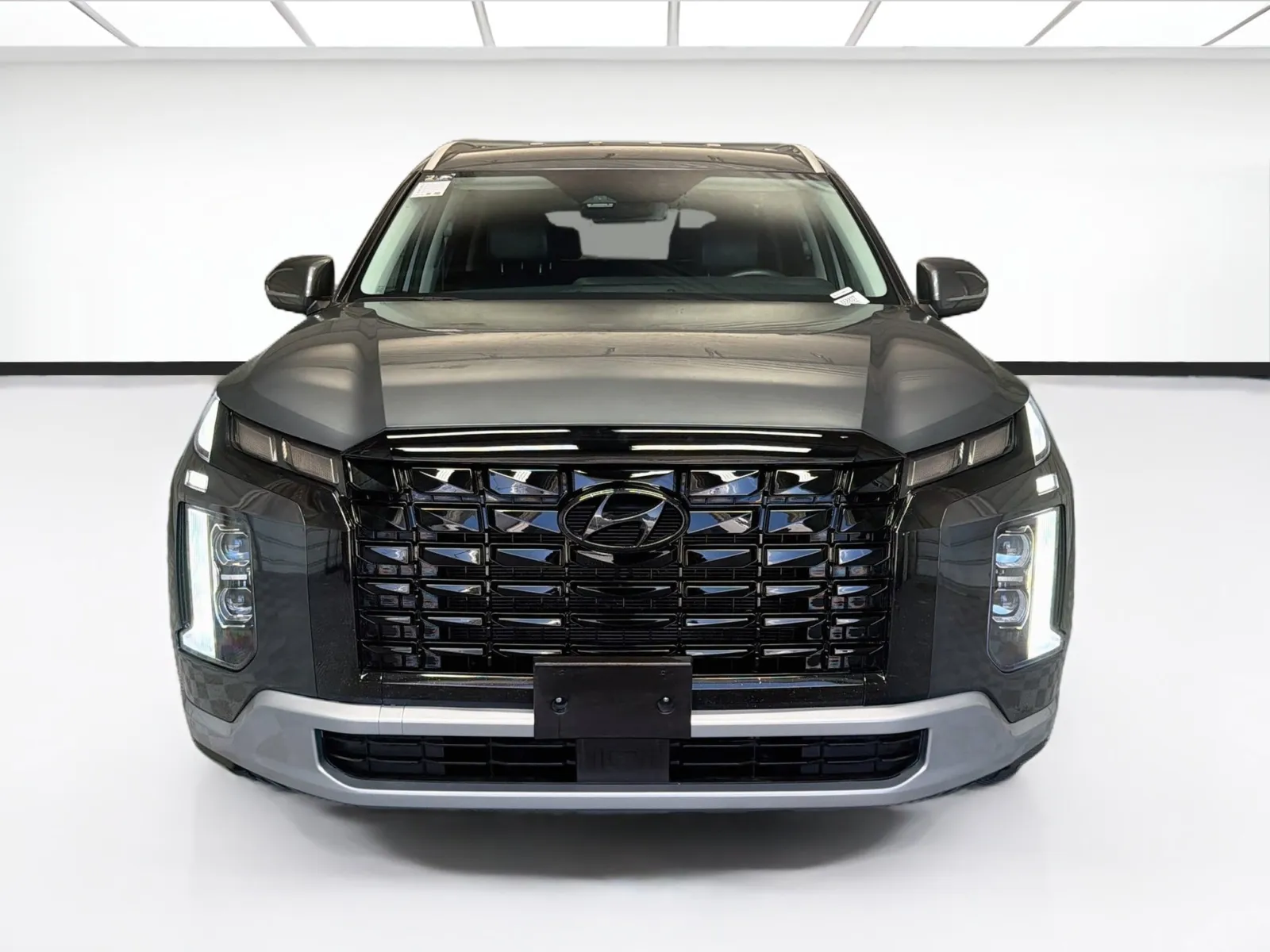 Hyundai Palisade photo 2