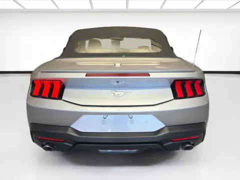 More photos of 2025 Ford Mustang EcoBoost Premium at STG Montclair, CA