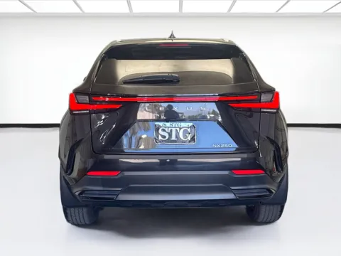 More photos of 2024 Lexus NX 250 Base at STG Montclair, CA