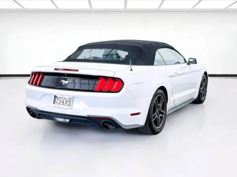 More photos of 2019 Ford Mustang EcoBoost Premium at STG Bellflower, CA