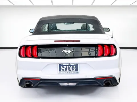 More photos of 2019 Ford Mustang EcoBoost Premium at STG Bellflower, CA