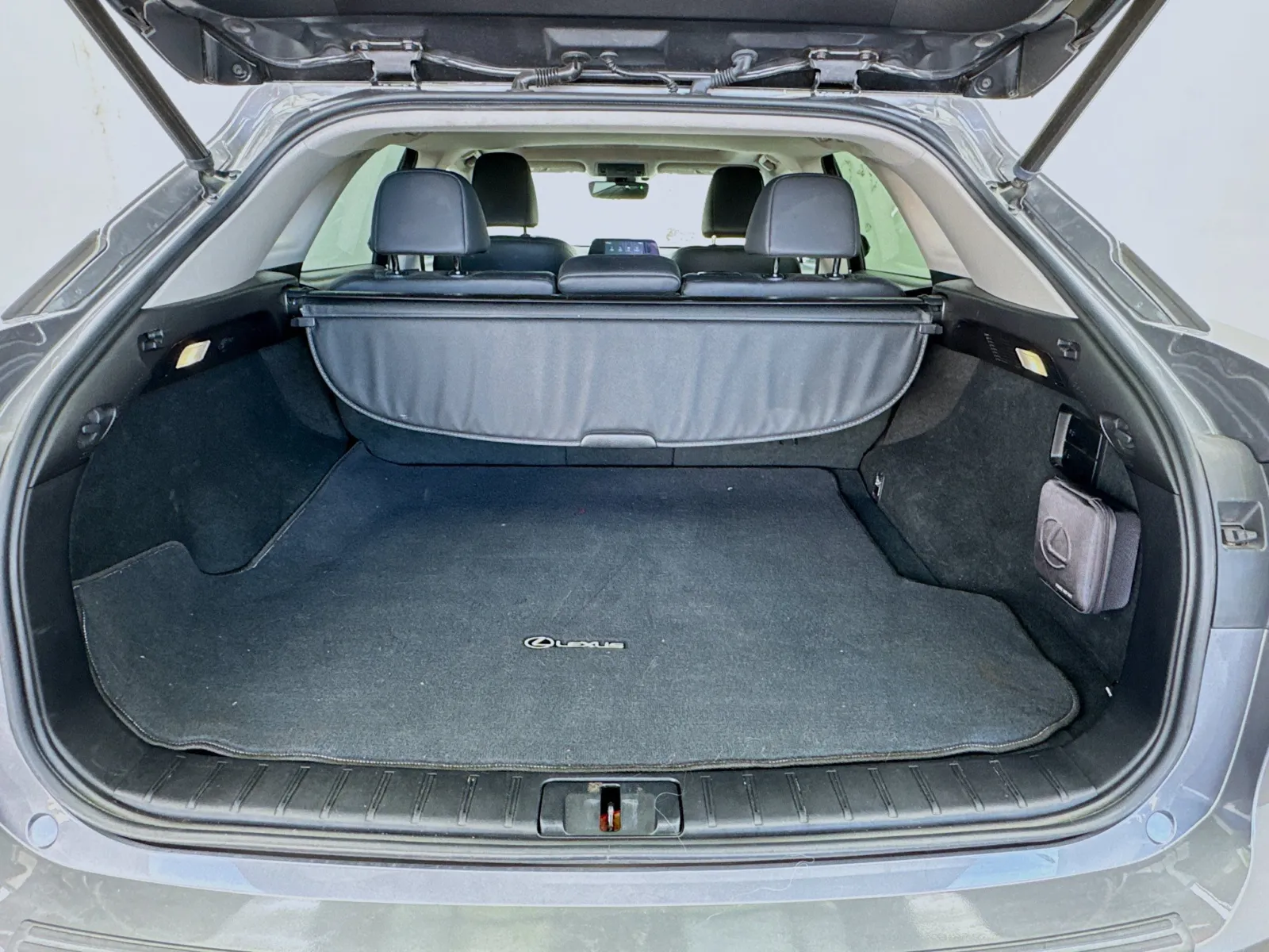 Lexus RX photo 18