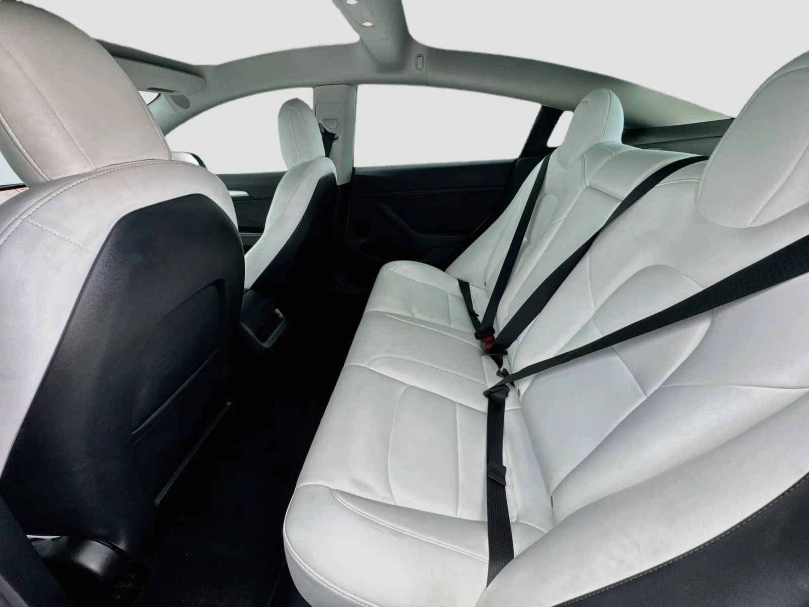 Tesla Model 3 photo 16