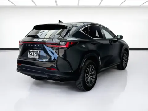 More photos of 2024 Lexus NX 350h Premium at STG Bellflower, CA