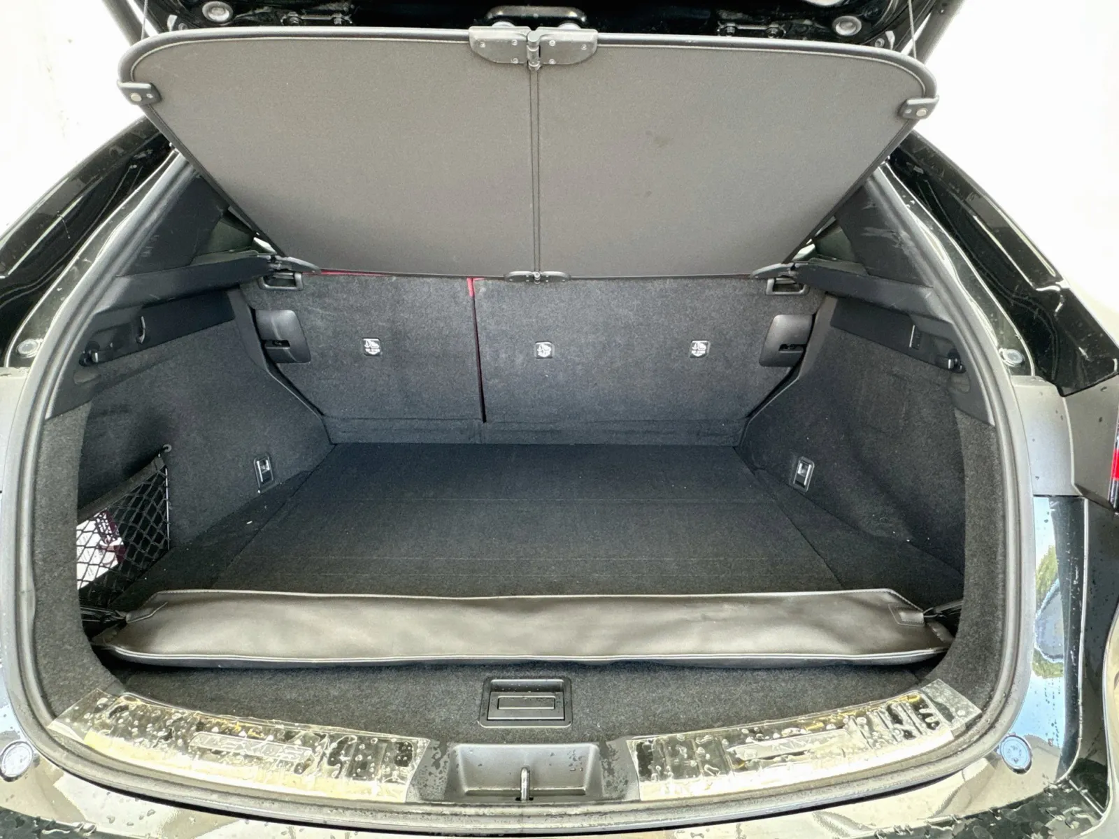 Lexus NX photo 18