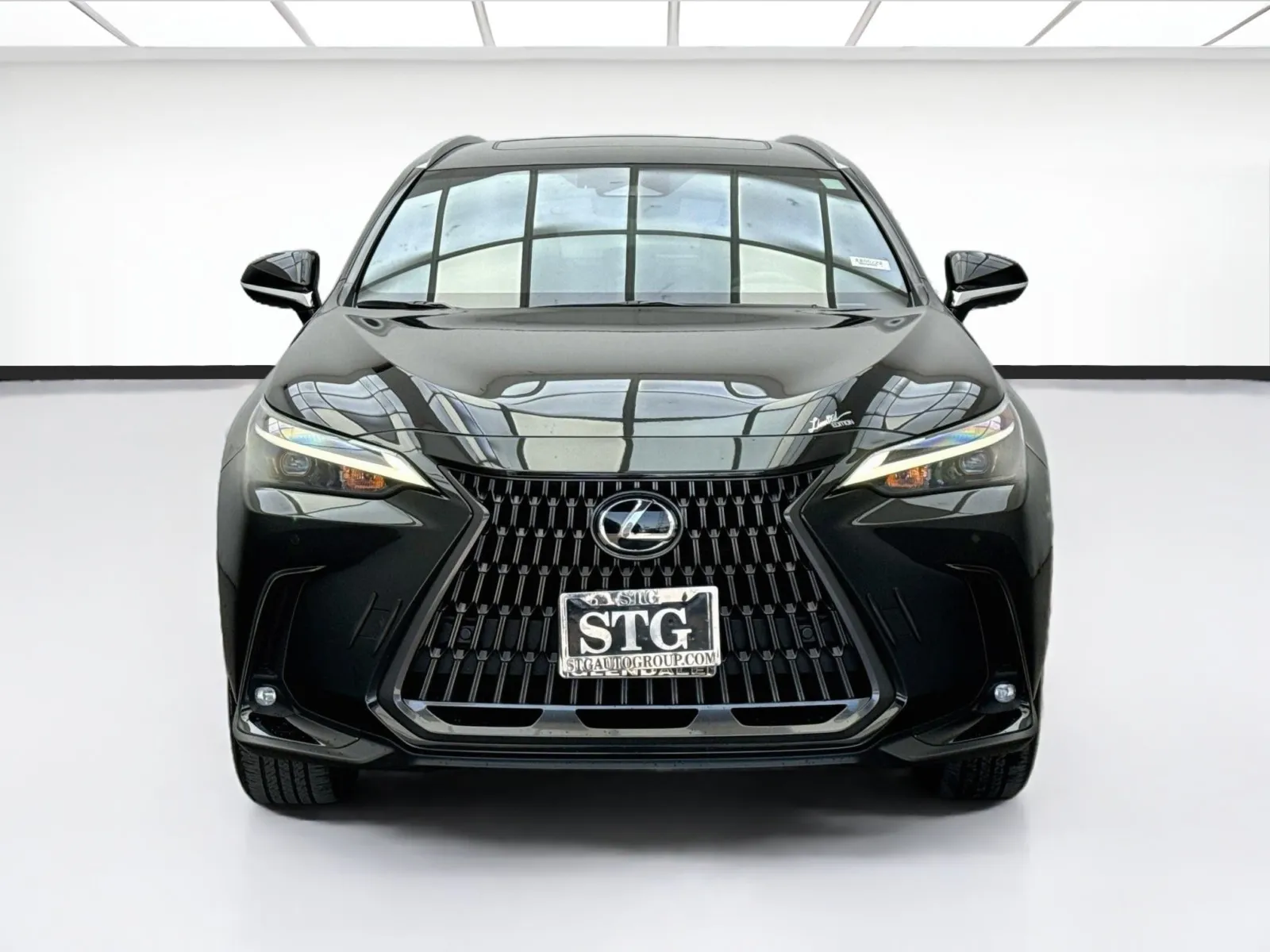 Lexus NX photo 2