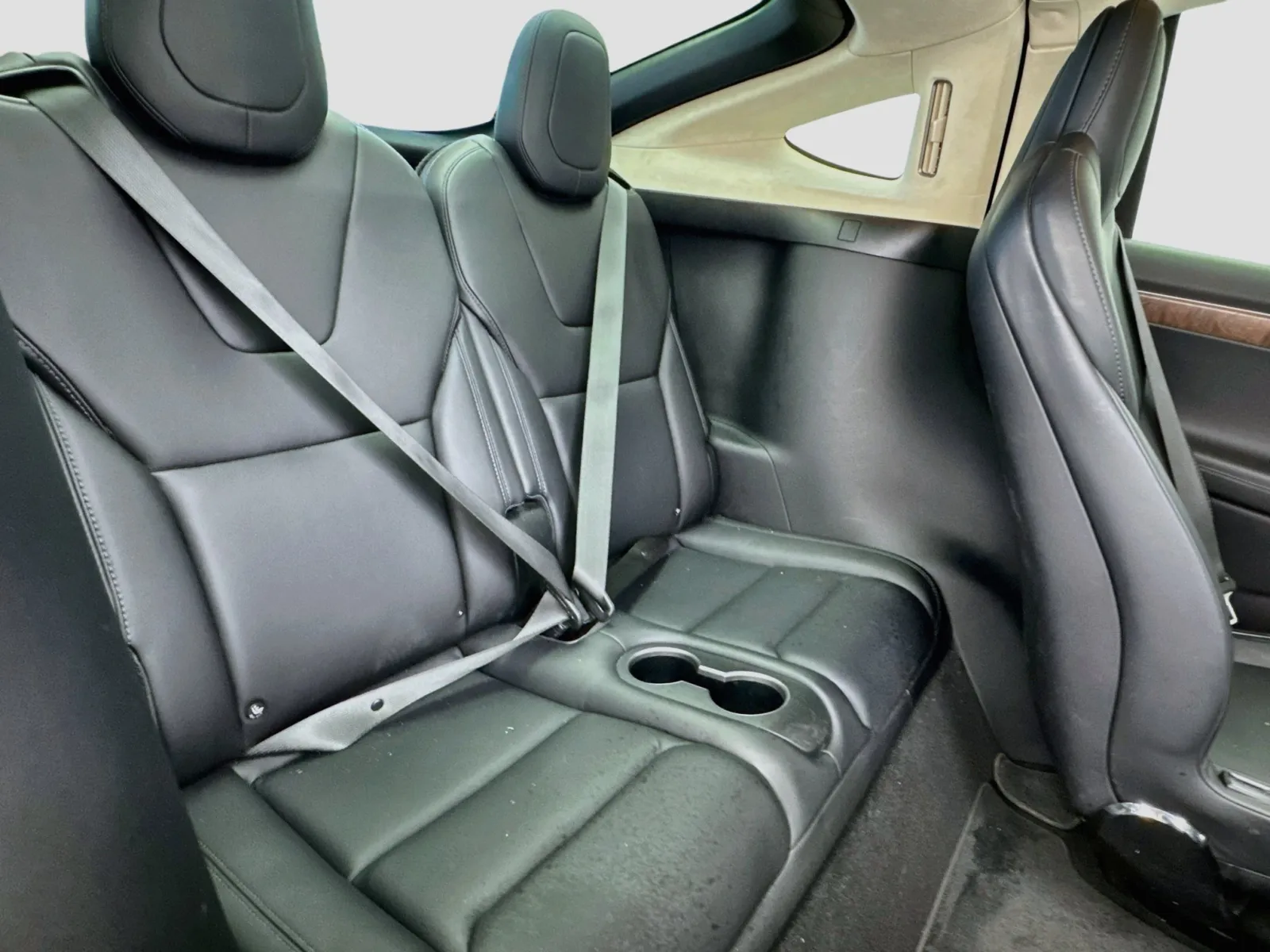 Tesla Model X photo 18