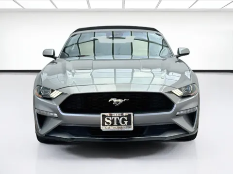 Photos of 2023 Ford Mustang EcoBoost Premium for sale in Bellflower, CA at STG Bellflower
