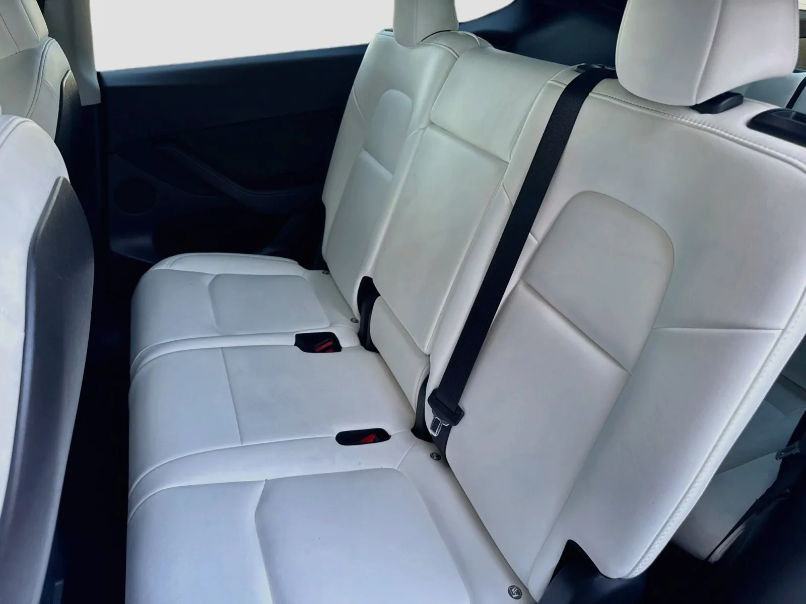 Tesla Model Y photo 15