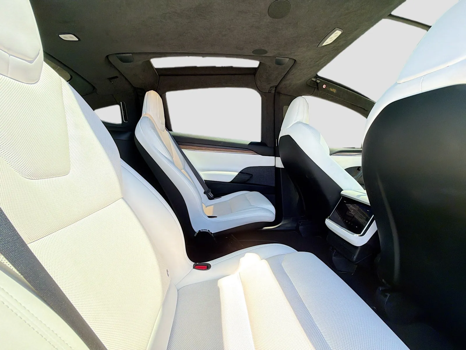 Tesla Model X photo 20