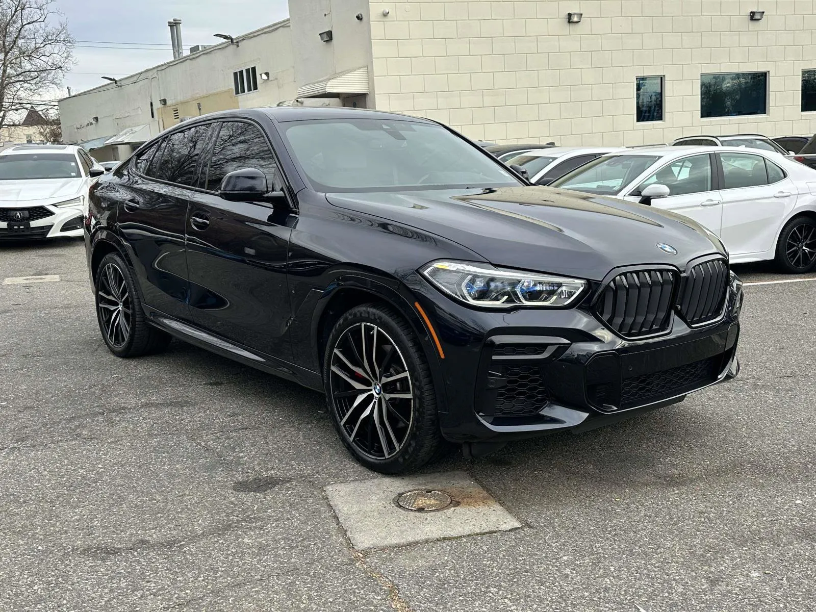 2023 BMW X6 xDrive40i's photo