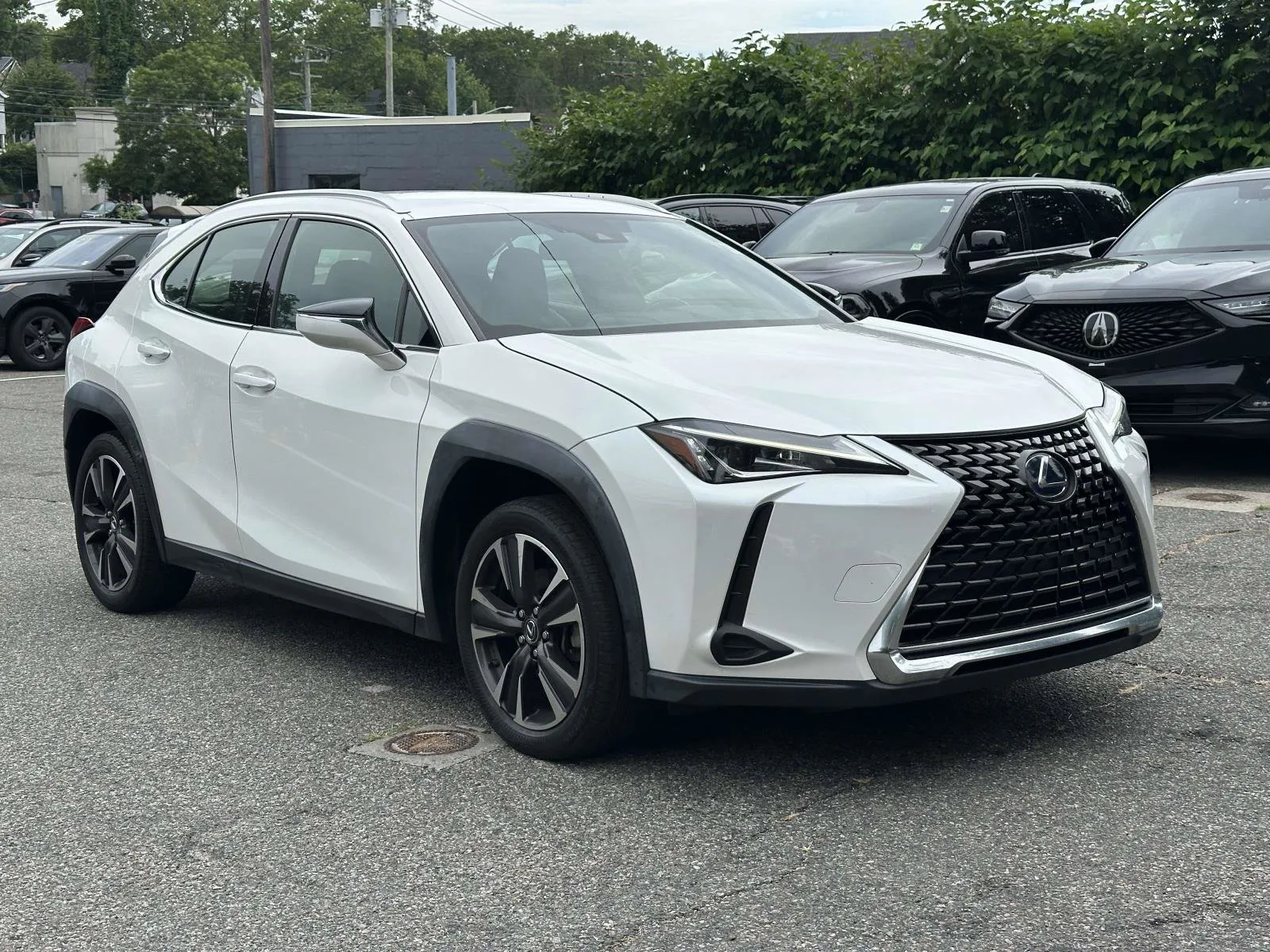 2019 Lexus UX 300h 250h AWD's photo