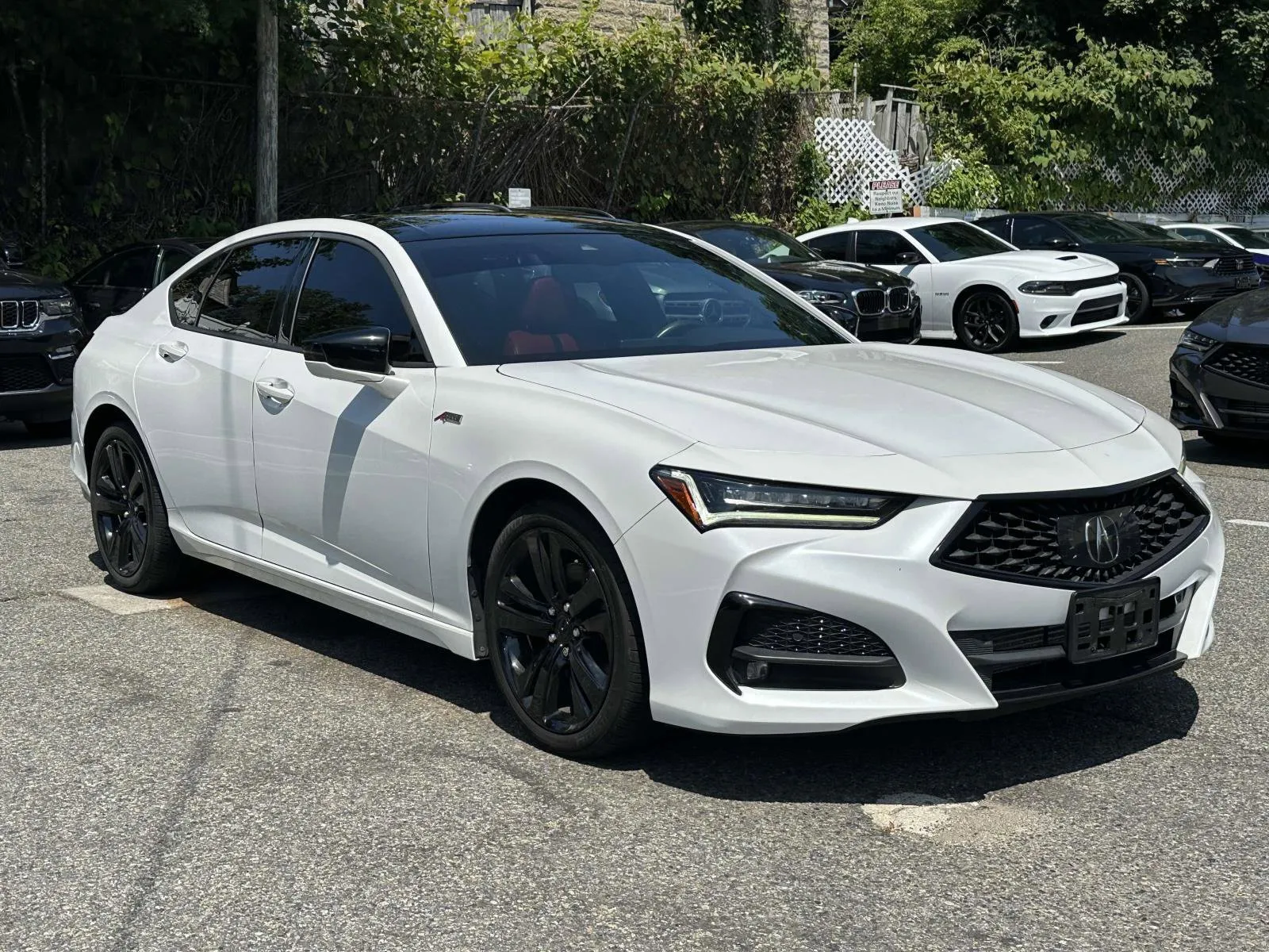 2022 Acura TLX w/A-Spec Package (Red Interior) for sale in Great Neck, NY