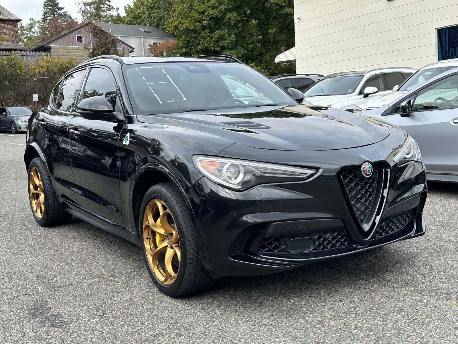 2021 Alfa Romeo Stelvio Quadrifoglio's photo