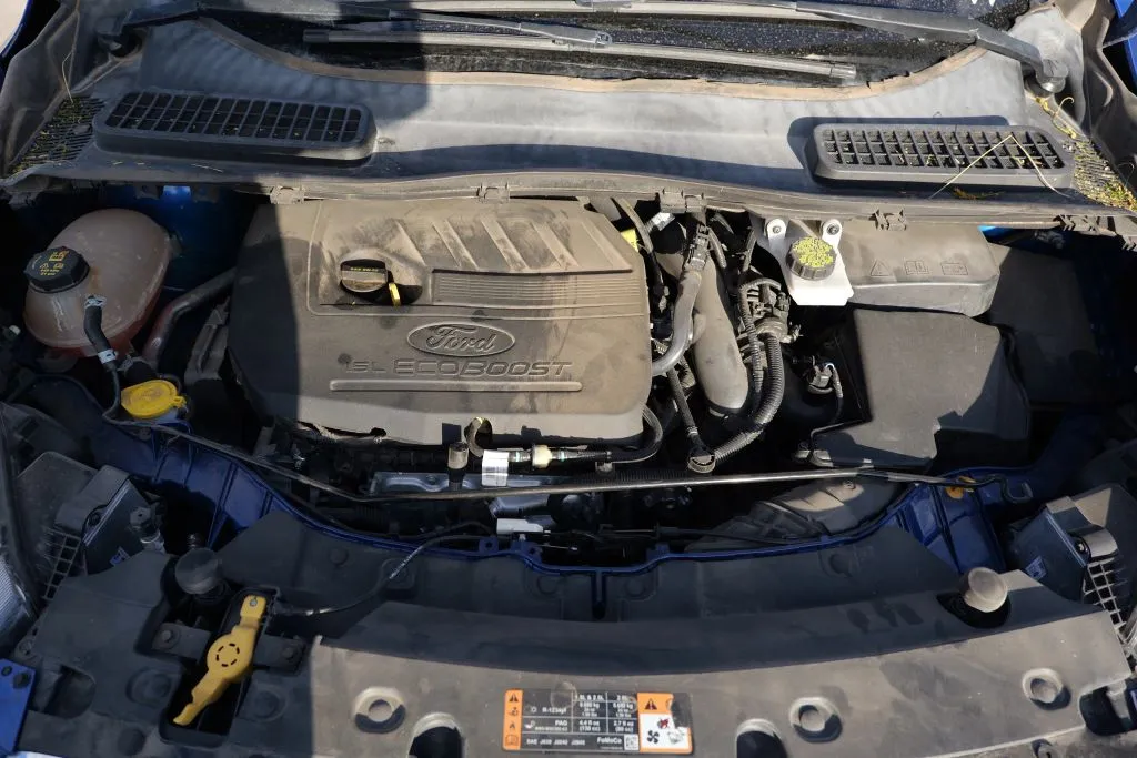 Ford Escape photo 14