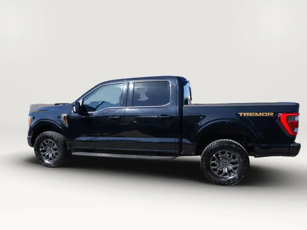 Ford F-150 photo 2