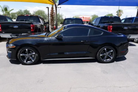 Photos of 2020 Ford Mustang EcoBoost Coupe 2D for sale in El Paso, TX at Torresdey Motors Alameda