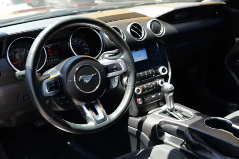 More photos of 2020 Ford Mustang EcoBoost Coupe 2D at Torresdey Motors Alameda, TX