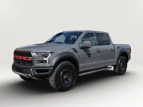 Gray 2018 Ford F-150 SuperCrew Cab Raptor Pickup 4D 5 1/2 ft for sale in El Paso, TX