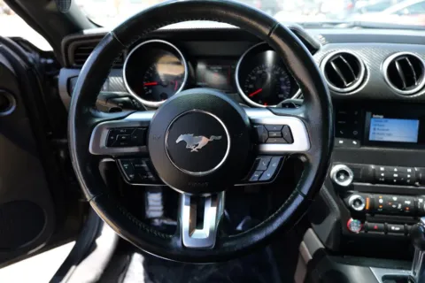 More photos of 2019 Ford Mustang EcoBoost Coupe 2D at Torresdey Motors Alameda, TX