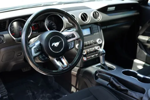 More photos of 2019 Ford Mustang EcoBoost Coupe 2D at Torresdey Motors Alameda, TX